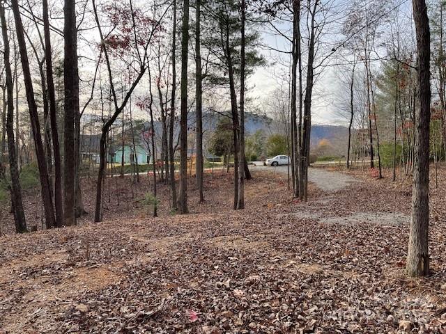 Lot 16 Fox Briar Drive Rutherfordton, NC 28139 - Photo 2 of 6 a backyard of a house with lots of green space