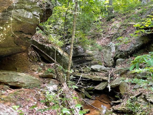 Lot 16 Fox Briar Drive Rutherfordton, NC 28139 - Photo 3 of 6 a view of a backyard of the house