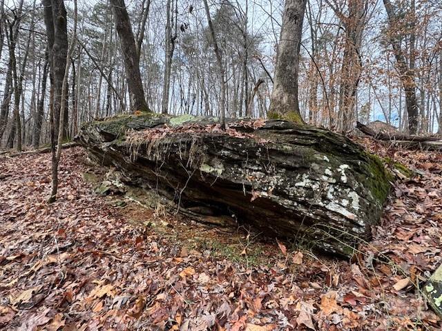 Lot 16 Fox Briar Drive Rutherfordton, NC 28139 - Photo 4 of 6 a view of a backyard of the house
