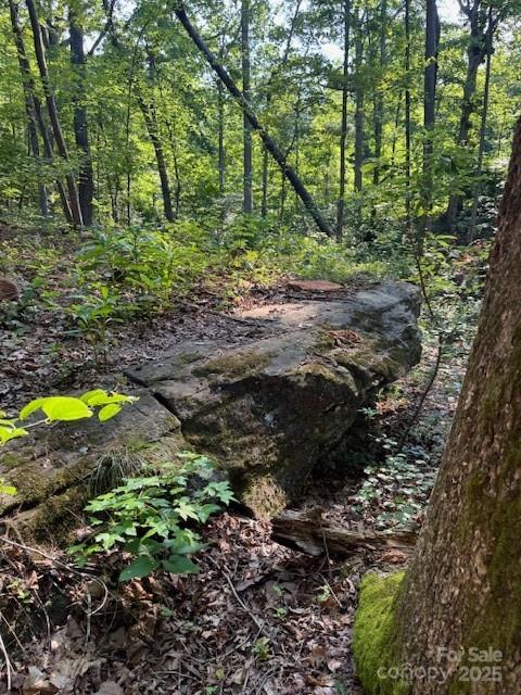 Lot 16 Fox Briar Drive Rutherfordton, NC 28139 - Photo 5 of 6 a view of a swimming pool with a yard