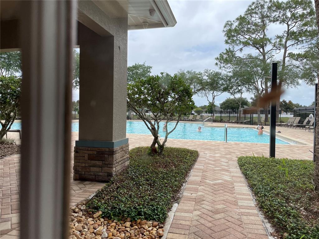 868 Old Windsor Way Spring Hill, FL 34609 - Photo 18 of 20 a view of a yard with plants