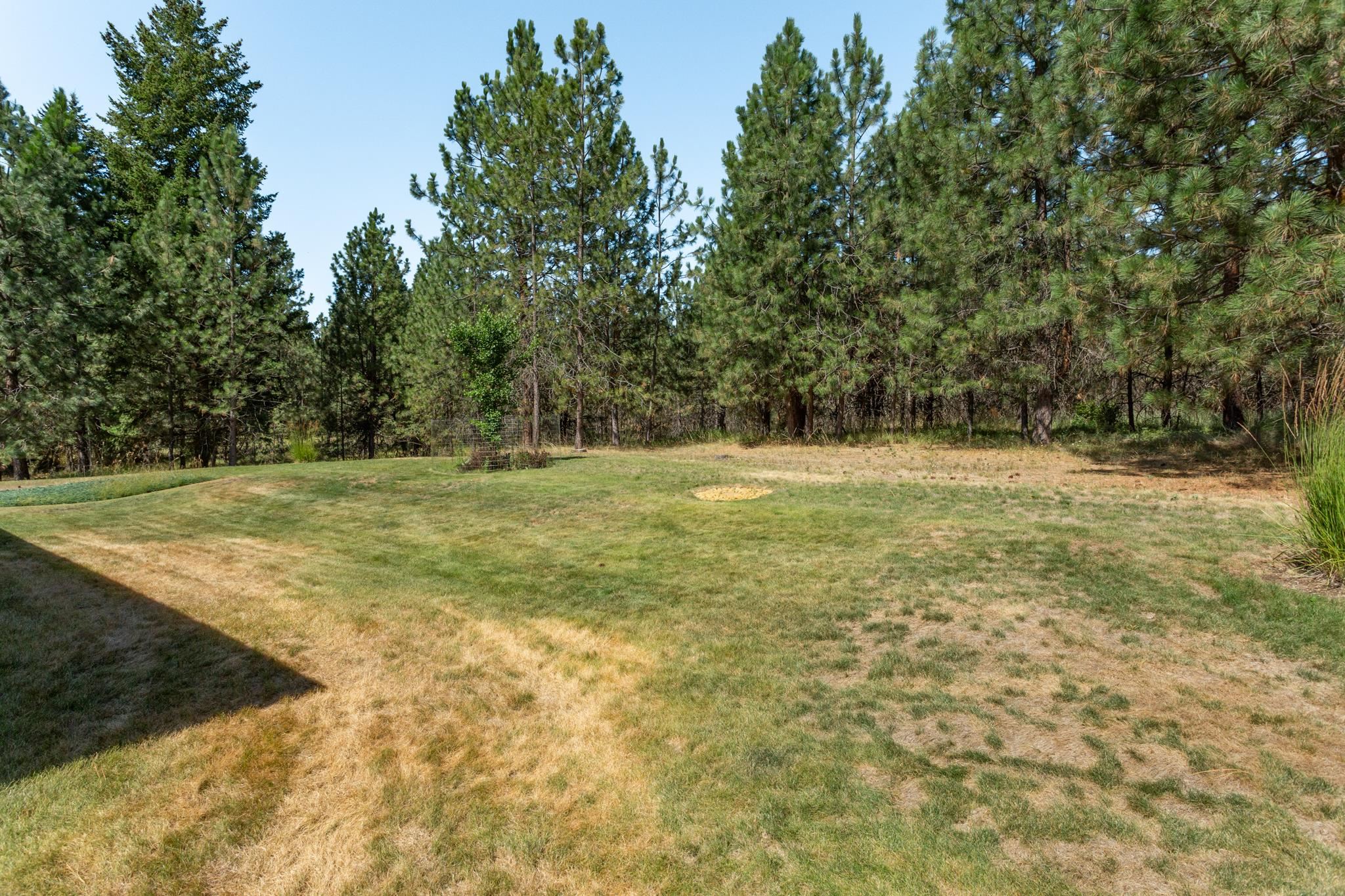 19421 North Division Road Colbert, WA 99005 - Photo 30 of 40 Gallery Image 30