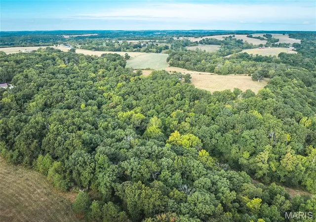 $449,950 | 30131 Ranch Lane, Richland, MO 65556