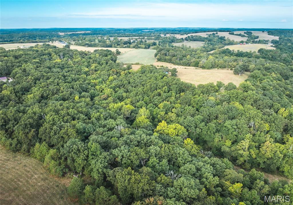 30131 Ranch Lane Richland, MO 65556 - Photo 32 of 44