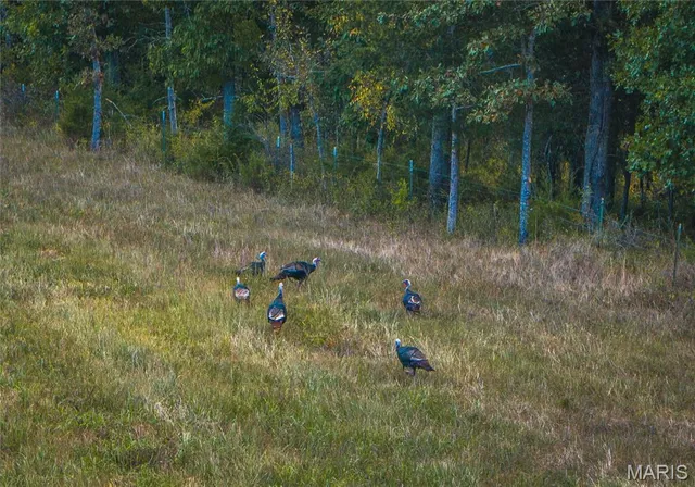 $449,950 | 30131 Ranch Lane, Richland, MO 65556