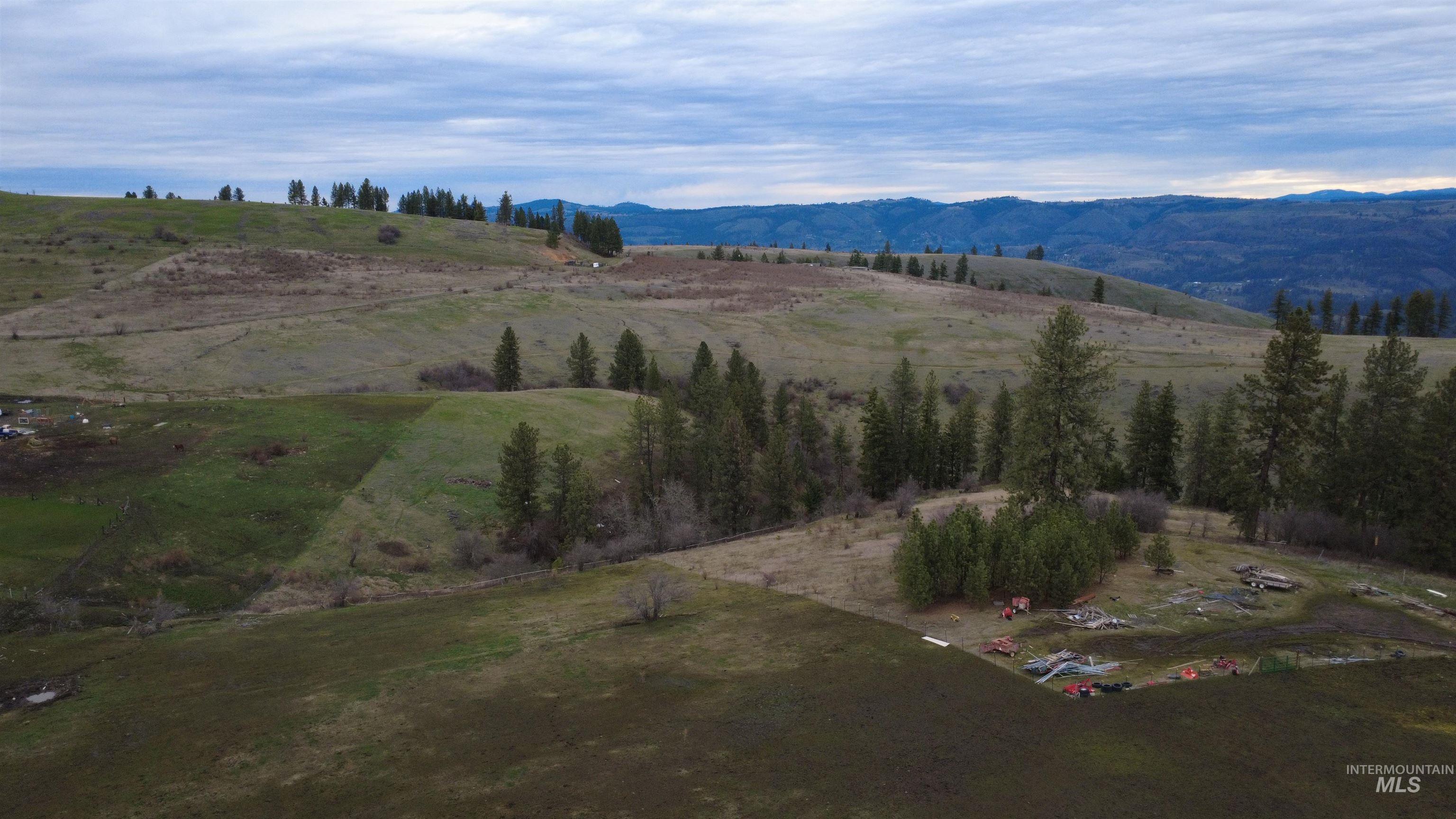 155 Mule Deer Kamiah, ID 83536 - Photo 14 of 25 View of mountain background featuring rural landscape