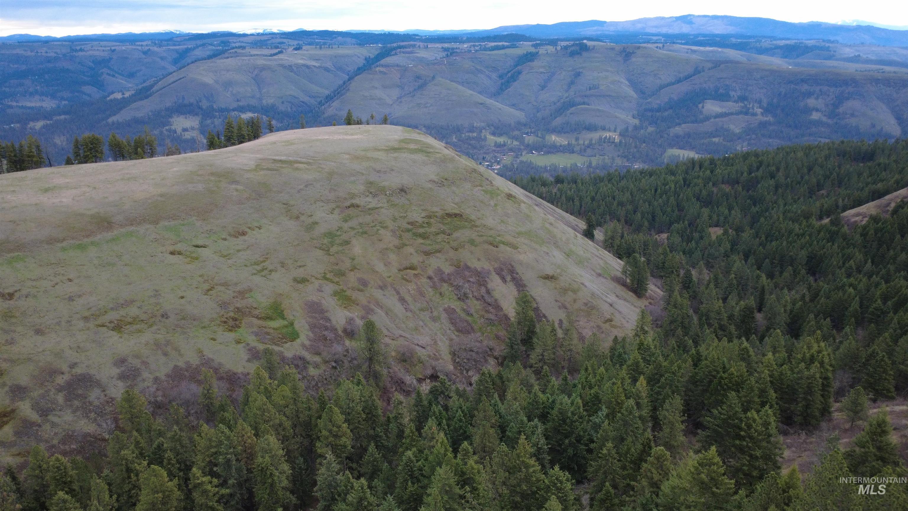 155 Mule Deer Kamiah, ID 83536 - Photo 17 of 25 View of mountain background
