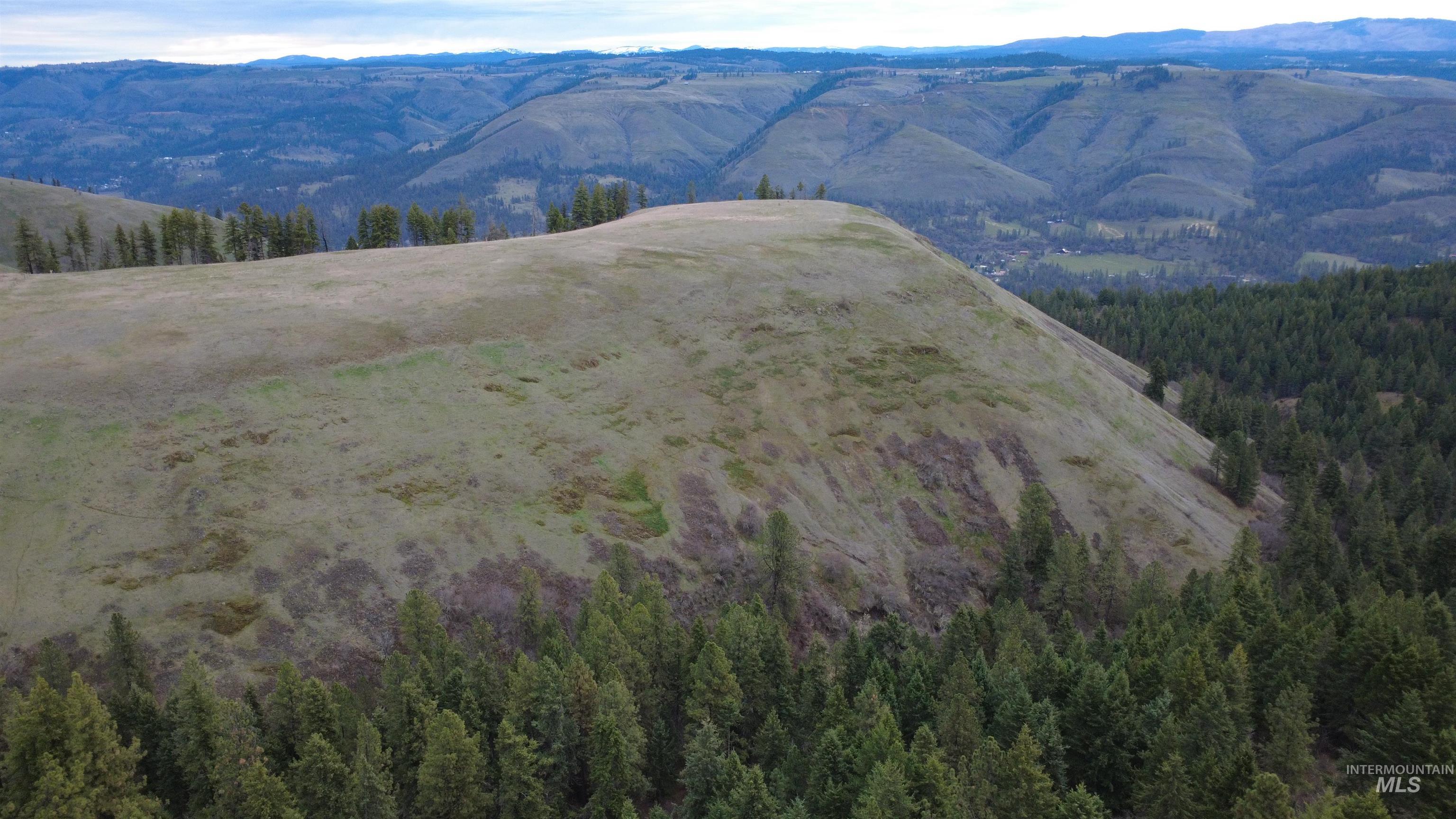 155 Mule Deer Kamiah, ID 83536 - Photo 18 of 25 View of mountain backdrop