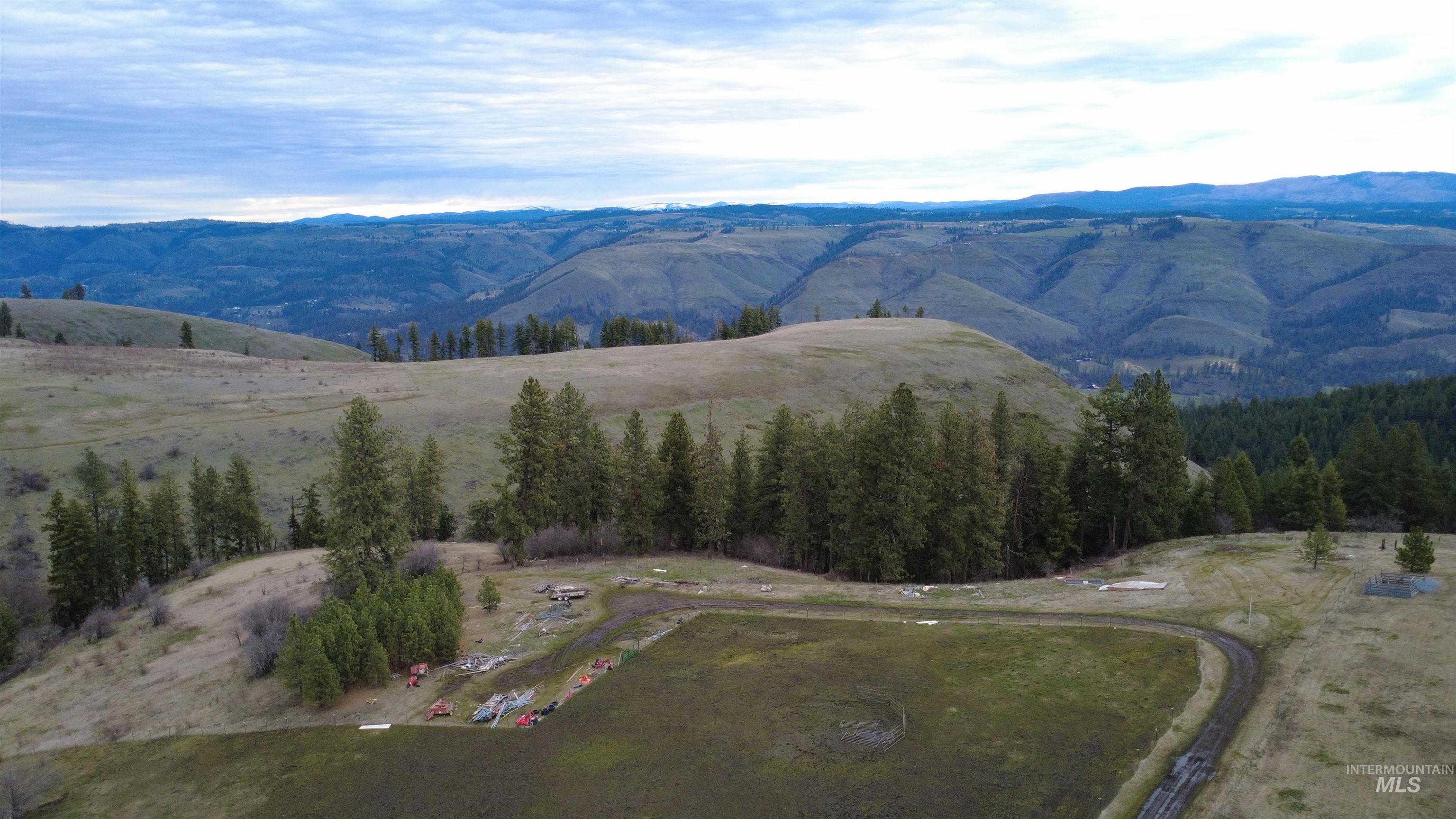 155 Mule Deer Kamiah, ID 83536 - Photo 19 of 25 View of mountain background