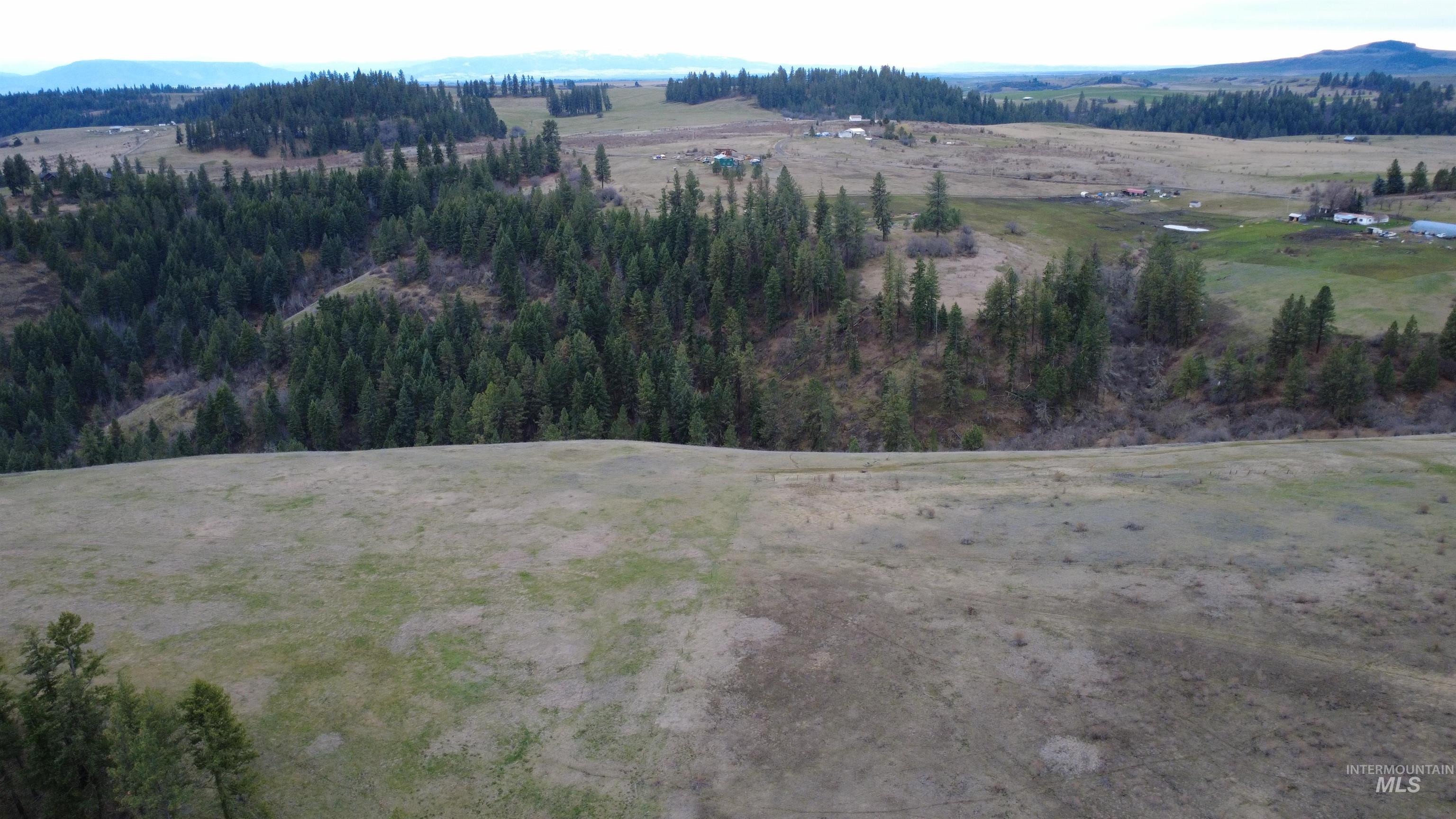 155 Mule Deer Kamiah, ID 83536 - Photo 22 of 25 Overview of rural landscape featuring a mountain backdrop