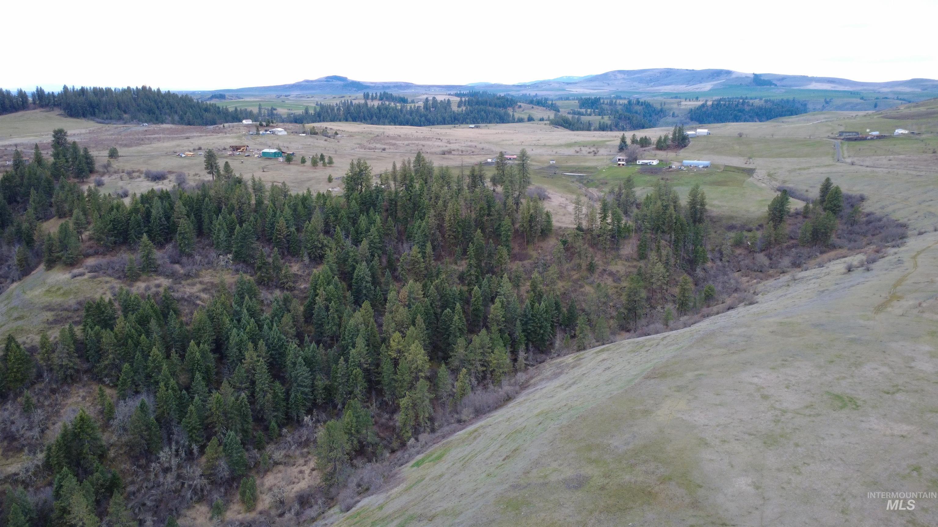 155 Mule Deer Kamiah, ID 83536 - Photo 24 of 25 Aerial view of sparsely populated area featuring a mountain backdrop