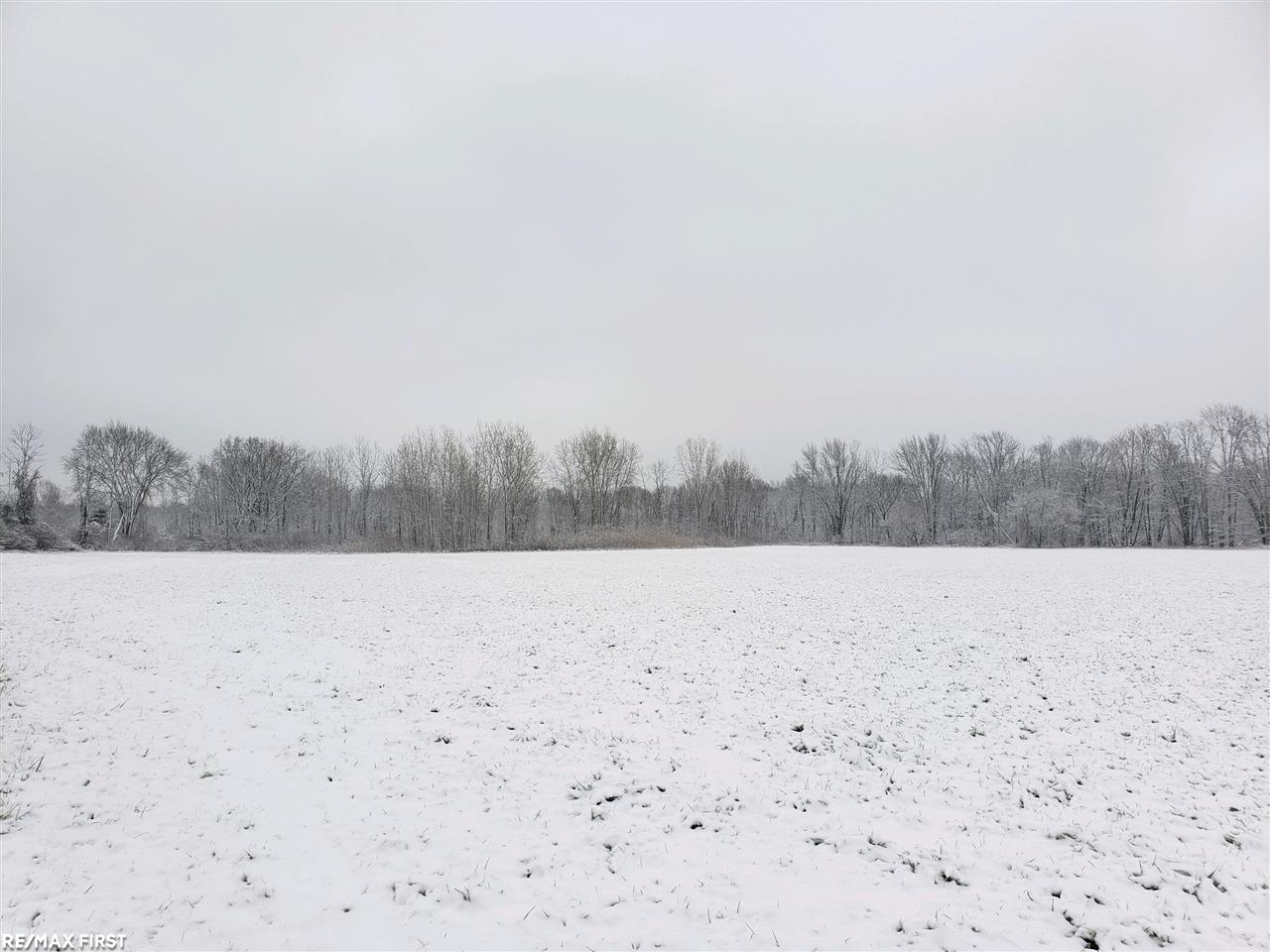 0 Plain Road Kingston, MI 48741 - Photo 2 of 6