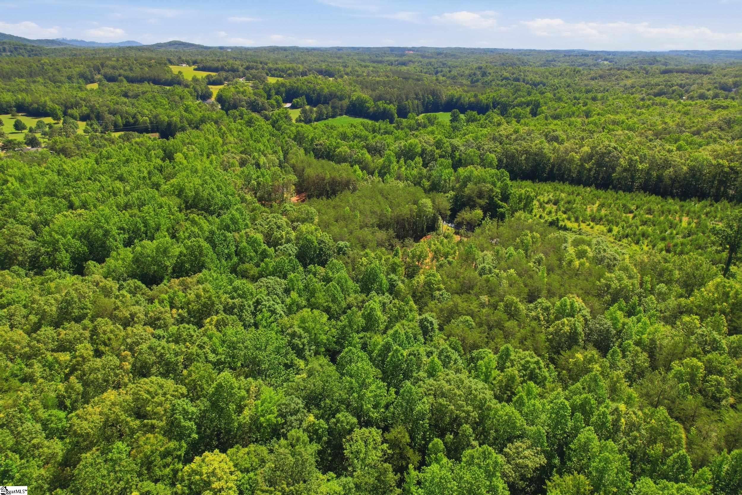 129 Tugaloo Road Landrum, SC 29356 - Photo 32 of 34