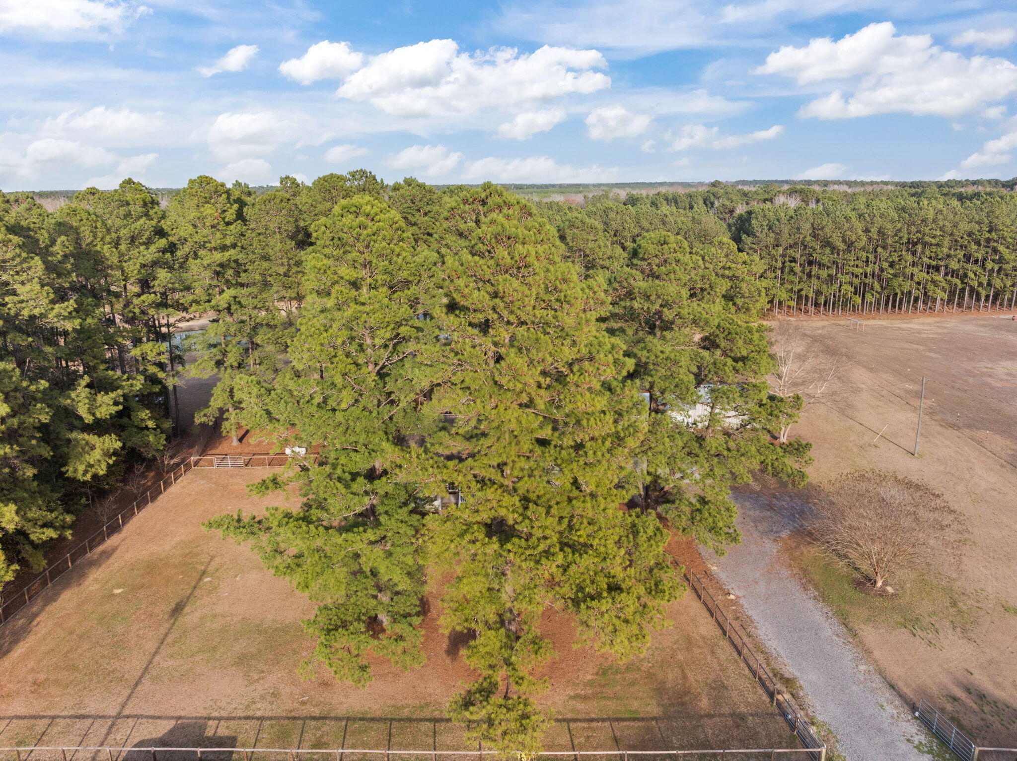 477 Grooms Road Cross, SC 29436 - Photo 44 of 57 44-web-or-mls-DJI_0412