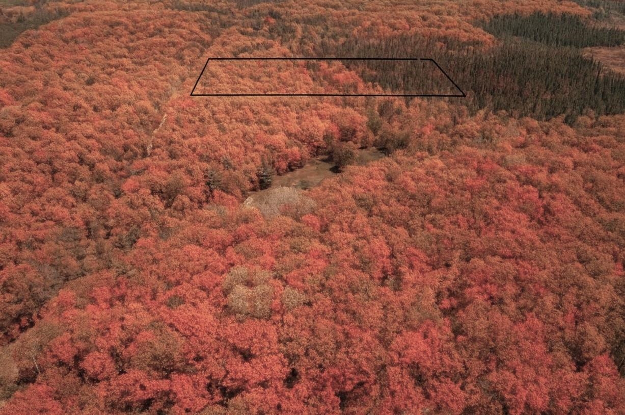 Walk the land, breathe, and picture your future here.