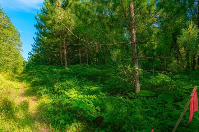 $63,000 | 9 Power Line Road, Iron River, WI 54847