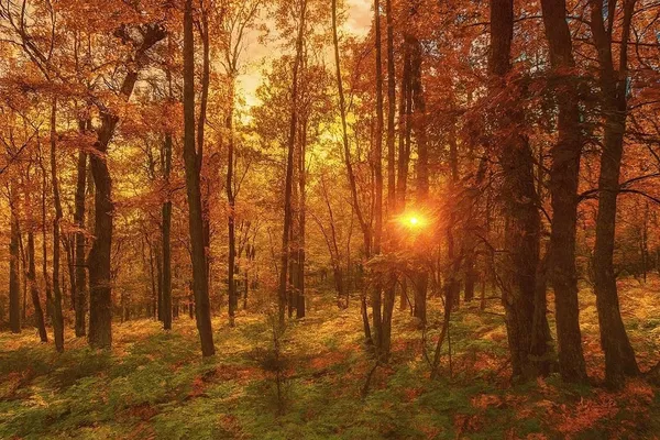 $63,000 | 9 Power Line Road, Iron River, WI 54847