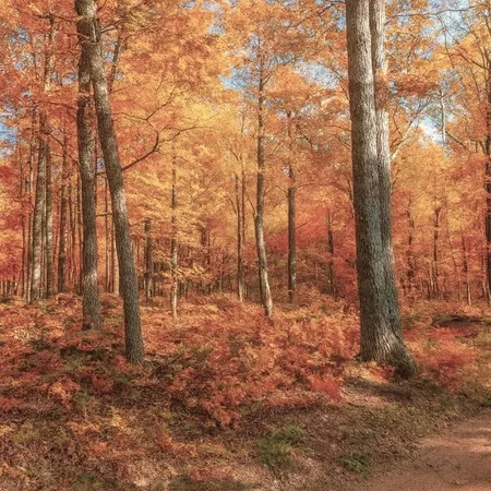 $63,000 | 9 Power Line Road, Iron River, WI 54847