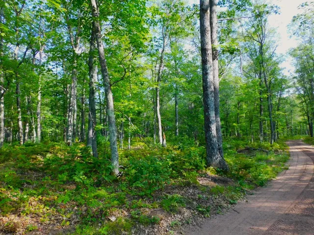 $63,000 | 9 Power Line Road, Iron River, WI 54847