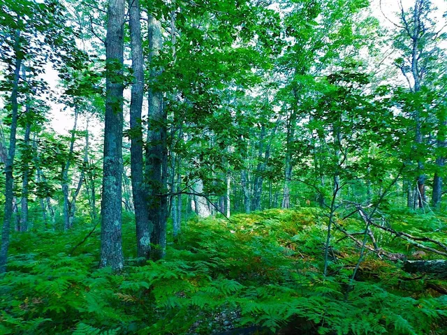 $63,000 | 9 Power Line Road, Iron River, WI 54847