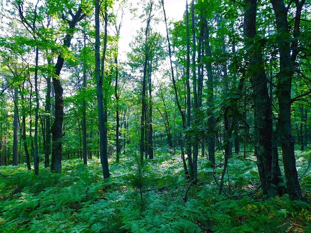 $63,000 | 9 Power Line Road, Iron River, WI 54847