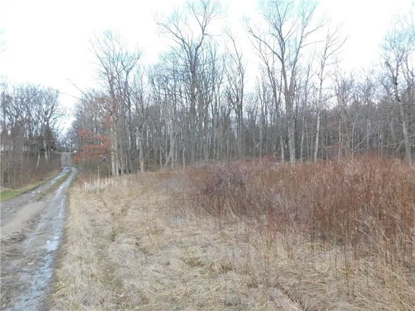 a view of a dry yard