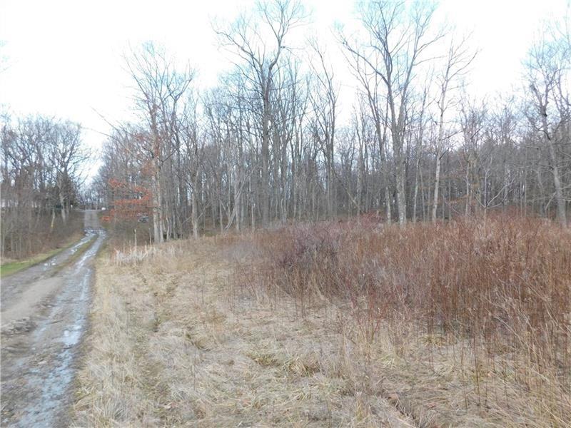 a view of a dry yard