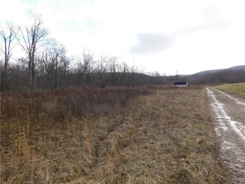 0 Hope Road Uniontown, PA 15401 - Photo 2 of 6 a view of a dry yard with trees in the background