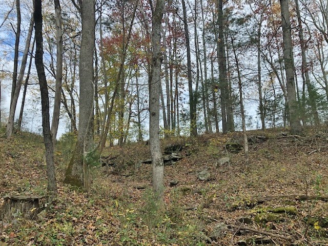351 Rocky River Road Rock Island, TN 38581 - Photo 13 of 27 Gallery Image 13