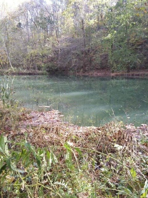 351 Rocky River Road Rock Island, TN 38581 - Photo 23 of 27 Gallery Image 23