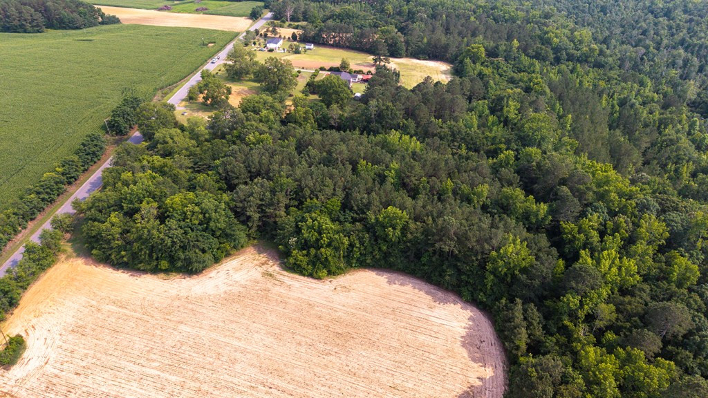 1487 Garvey Road Summerton, SC 29148 - Photo 7 of 14