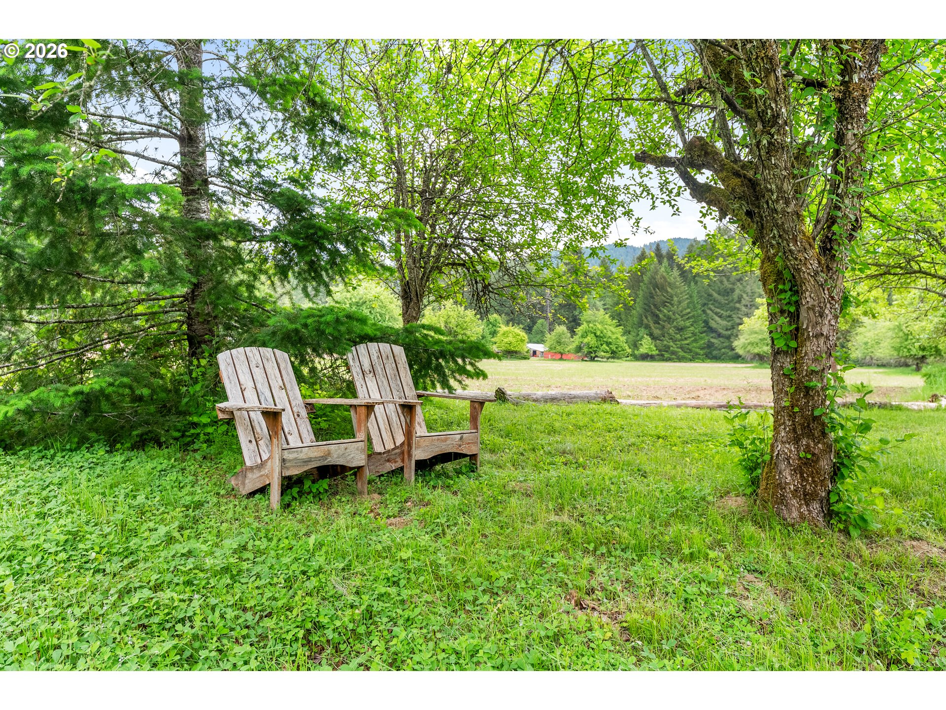 451 Cannavinna Road Carson, WA 98610 - Photo 5 of 33 a garden view with a seating space