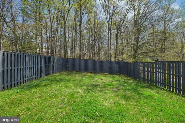 a view of backyard with trees