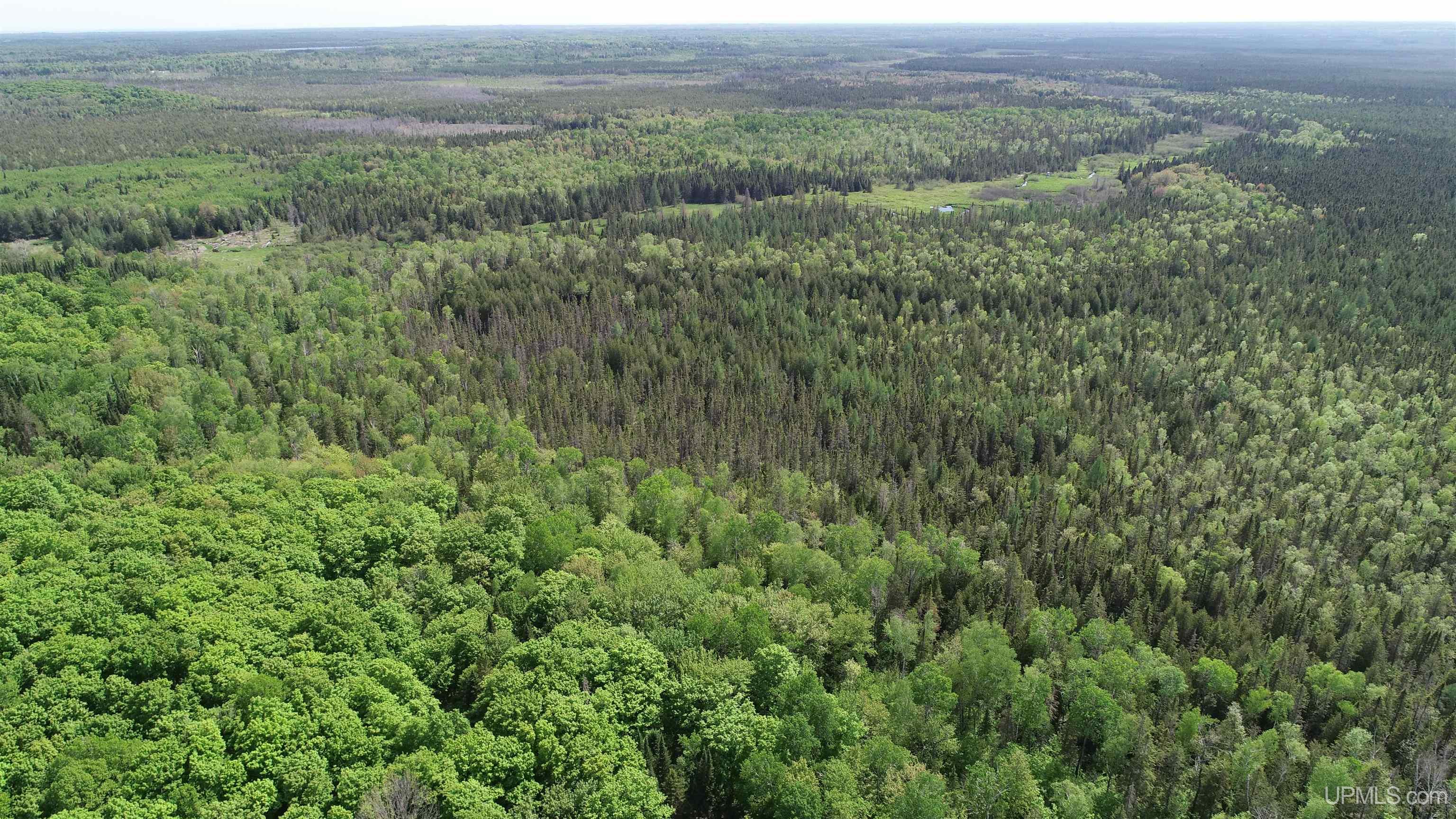 Tbd Tbd Banking Ground Road Germfask, MI 49836 - Photo 9 of 36