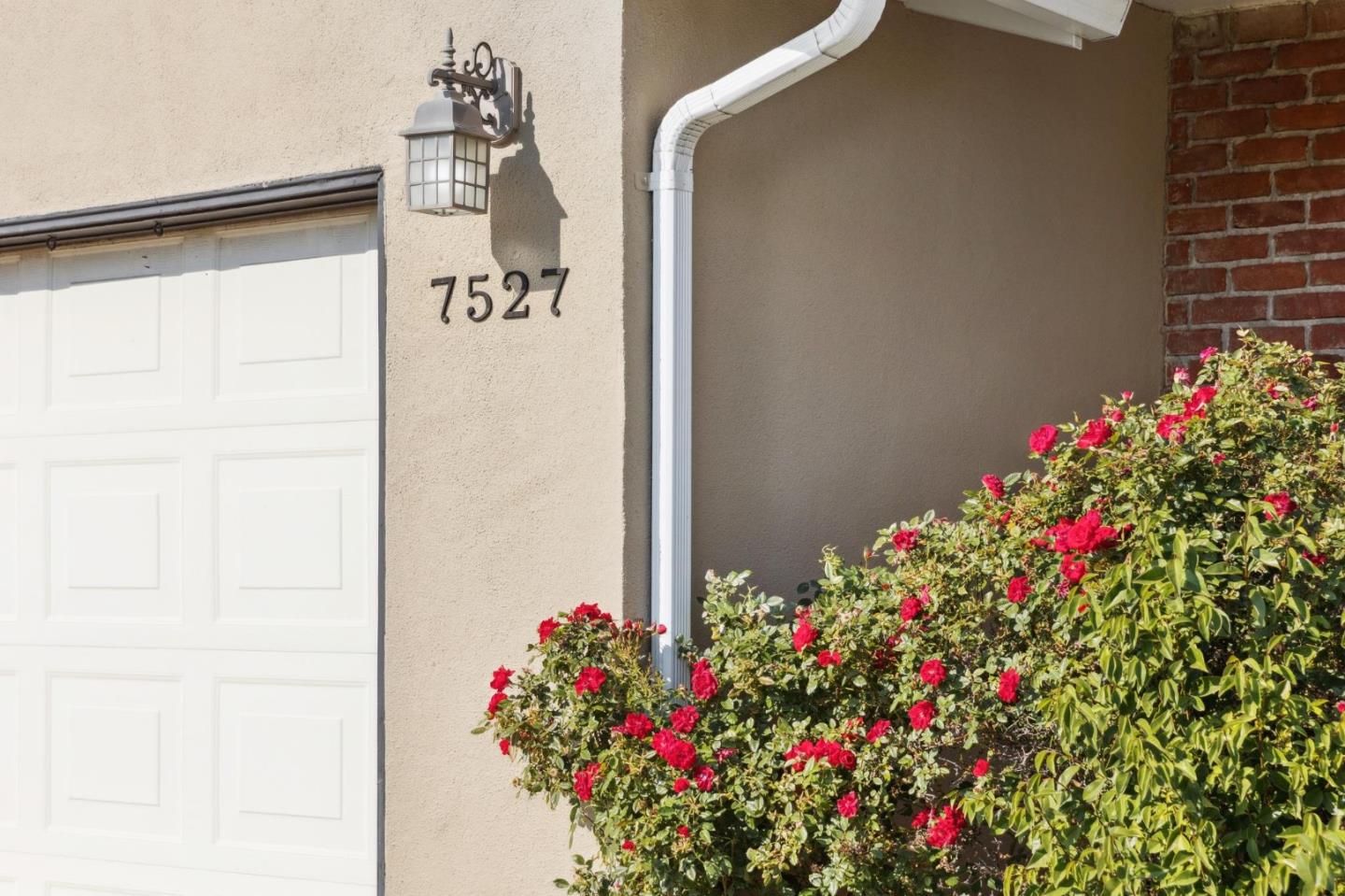 7527 Sutton Lane Dublin, CA 94568 - Photo 9 of 45 a flower plants in front of a door