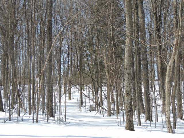N1466 Cth Road Antigo, WI 54409 - Photo 23 of 29 Gallery Image 23