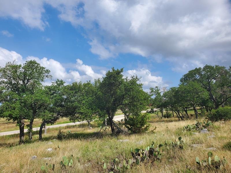 98 Axis Circle, Unit 98 Fredericksburg, TX 78624 - Photo 11 of 33 a view of a lake with houses in the back