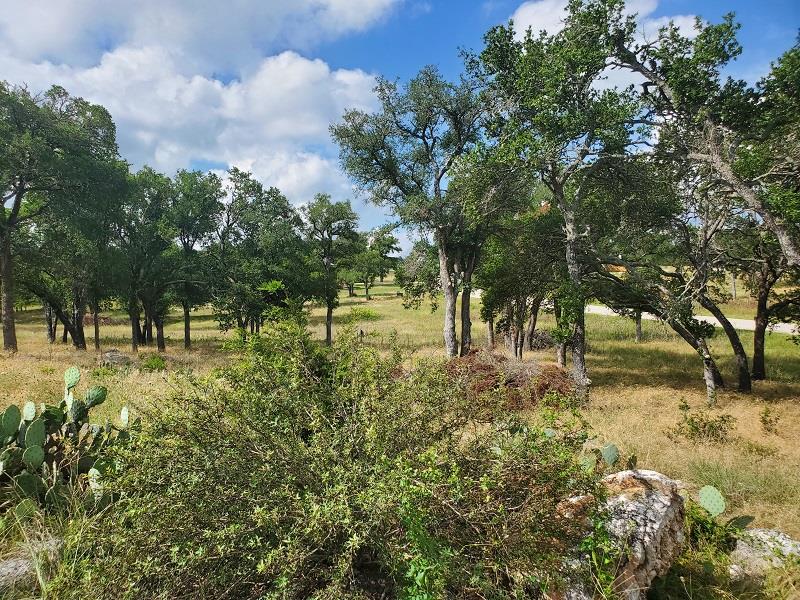 98 Axis Circle, Unit 98 Fredericksburg, TX 78624 - Photo 12 of 33 a view of yard with trees