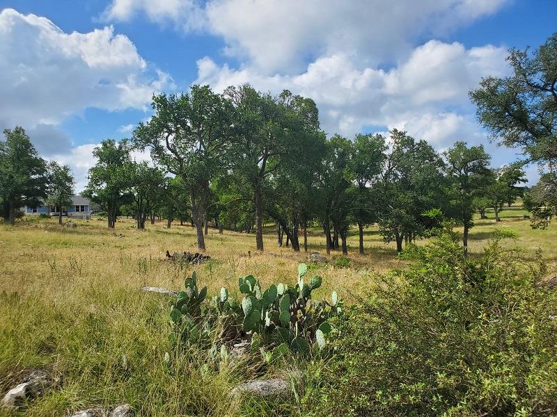 98 Axis Circle, Unit 98 Fredericksburg, TX 78624 - Photo 13 of 33 a view of backyard with green space