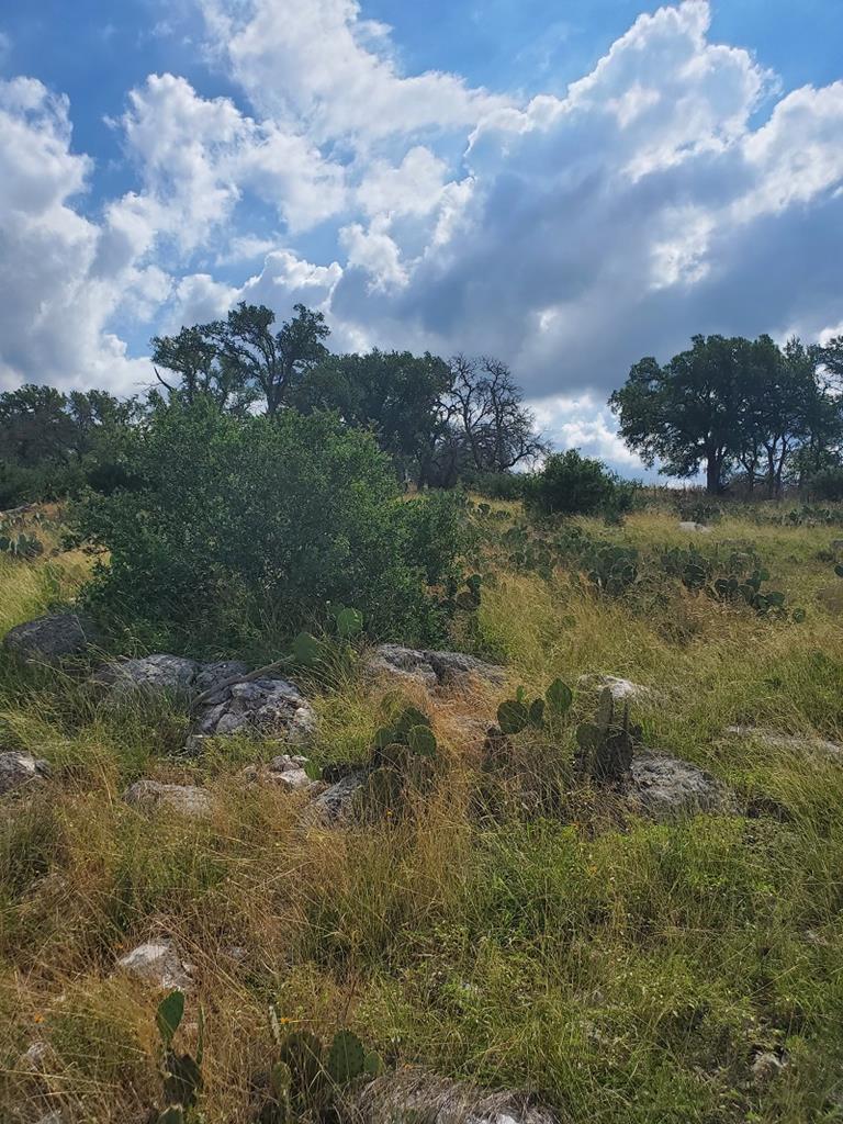 98 Axis Circle, Unit 98 Fredericksburg, TX 78624 - Photo 14 of 33 a view of a lake with houses in back
