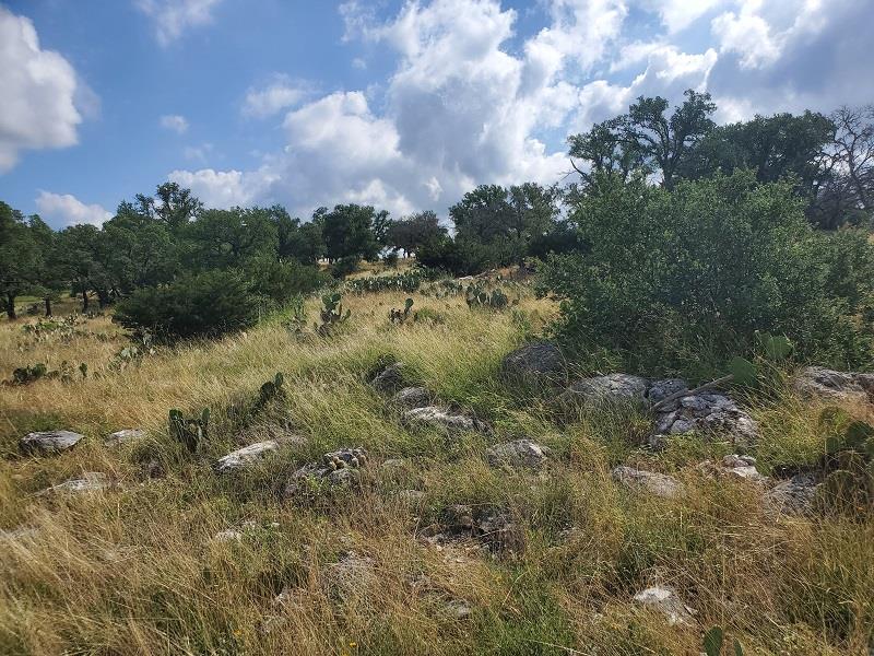 98 Axis Circle, Unit 98 Fredericksburg, TX 78624 - Photo 15 of 33 a view of a lake with houses