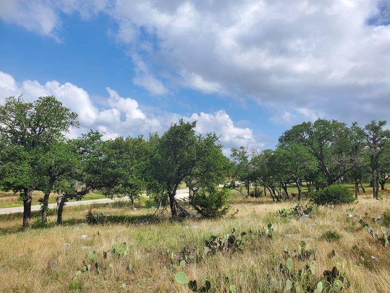 98 Axis Circle, Unit 98 Fredericksburg, TX 78624 - Photo 16 of 33 a view of a lake with houses in the background