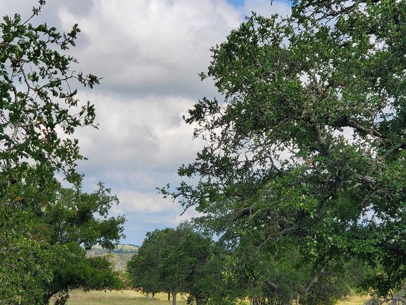 98 Axis Circle, Unit 98 Fredericksburg, TX 78624 - Photo 17 of 33 an aerial view of a house with a yard
