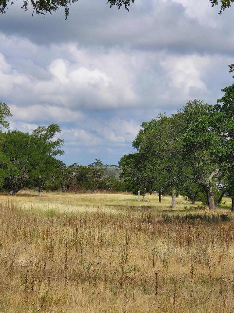 98 Axis Circle, Unit 98 Fredericksburg, TX 78624 - Photo 18 of 33 a view of a lake with a yard