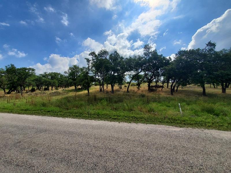 98 Axis Circle, Unit 98 Fredericksburg, TX 78624 - Photo 19 of 33 a view of a park with large trees