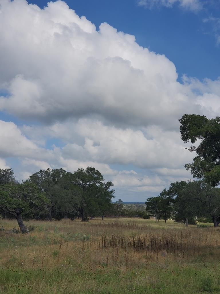 98 Axis Circle, Unit 98 Fredericksburg, TX 78624 - Photo 22 of 33 a view of lake with mountain in back