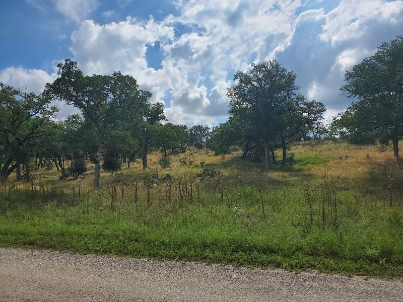 98 Axis Circle, Unit 98 Fredericksburg, TX 78624 - Photo 3 of 33 a view of lake with a yard