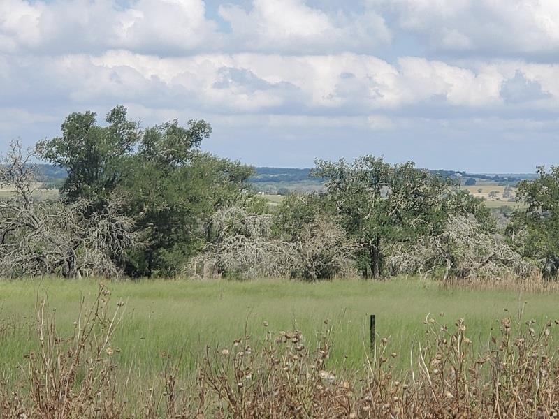 98 Axis Circle, Unit 98 Fredericksburg, TX 78624 - Photo 31 of 33 a view of a garden with a lake