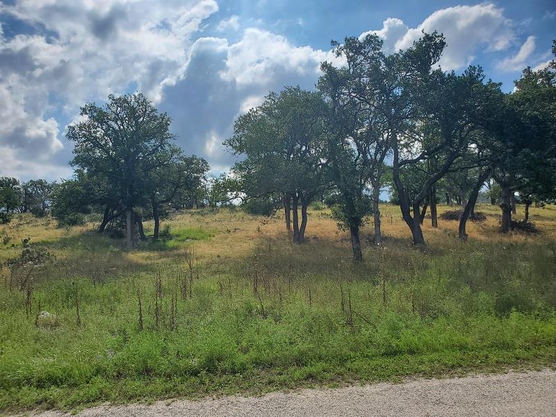 98 Axis Circle, Unit 98 Fredericksburg, TX 78624 - Photo 4 of 33 a view of a lake with a yard