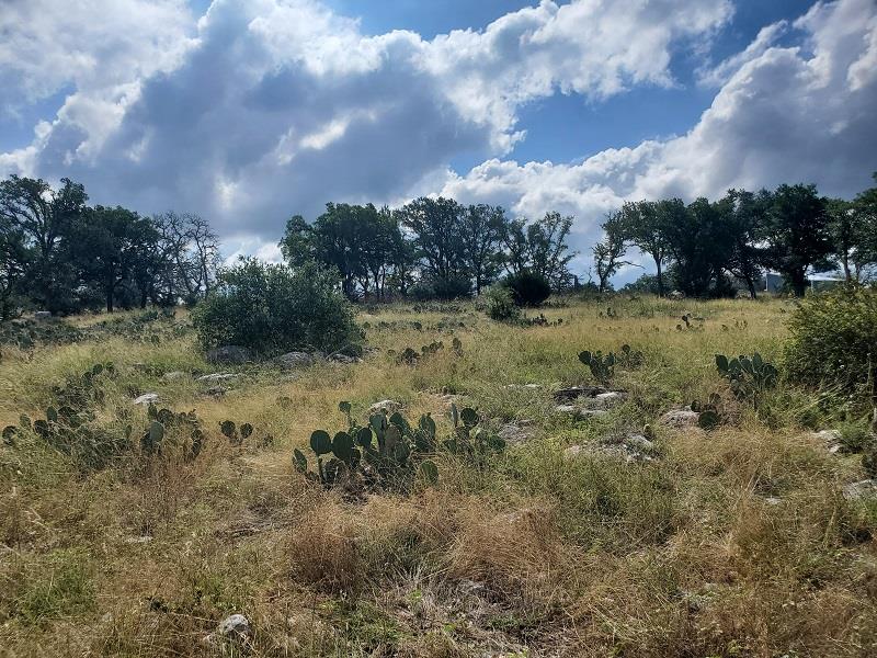 98 Axis Circle, Unit 98 Fredericksburg, TX 78624 - Photo 6 of 33